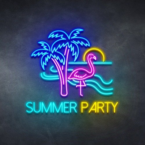 Summer Party Neon Sign